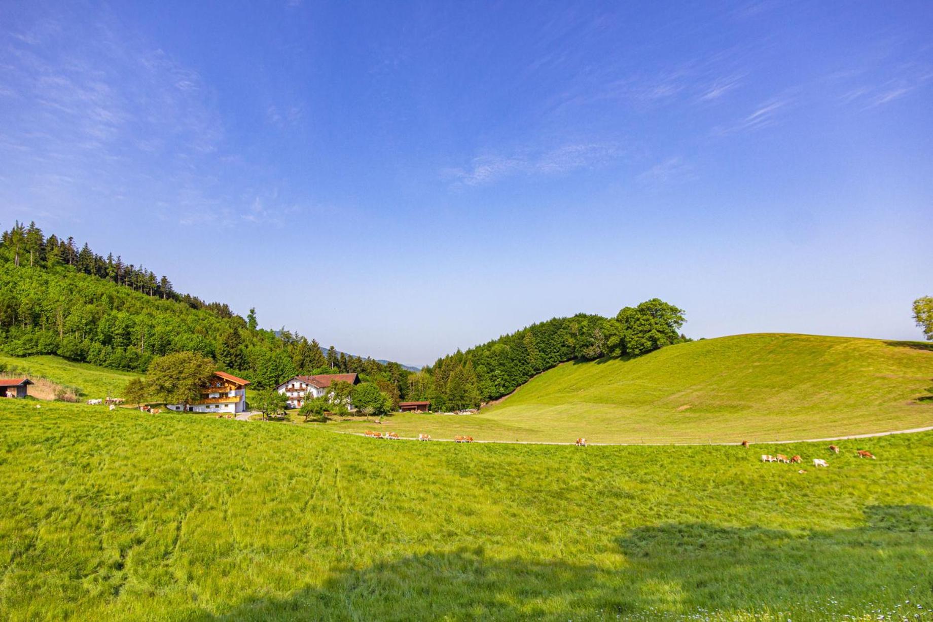 Wieserhof Vakantieboerderij Bernau am Chiemsee